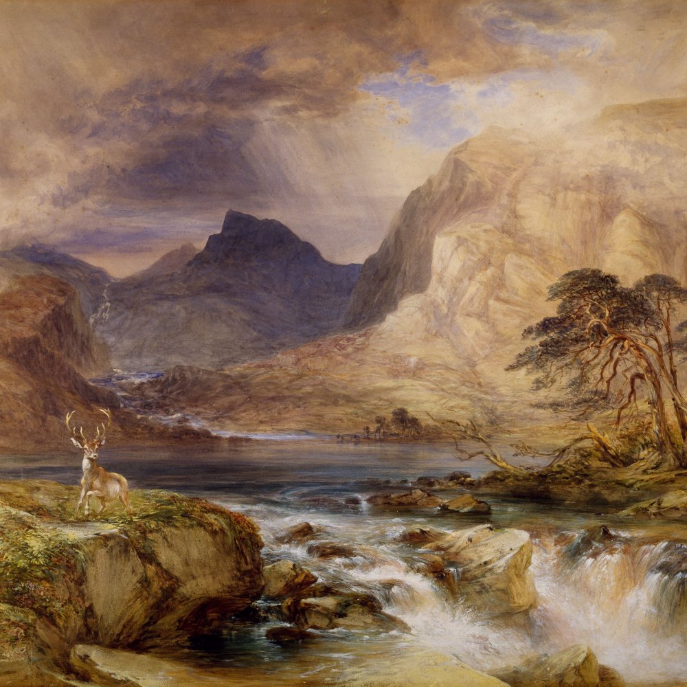 Freelance Artist Scenary 1